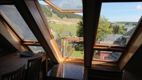 Ferienwohnung Dachspitze mit Tiefgaragenstellplatz und Skiraum Oberwiesenthal